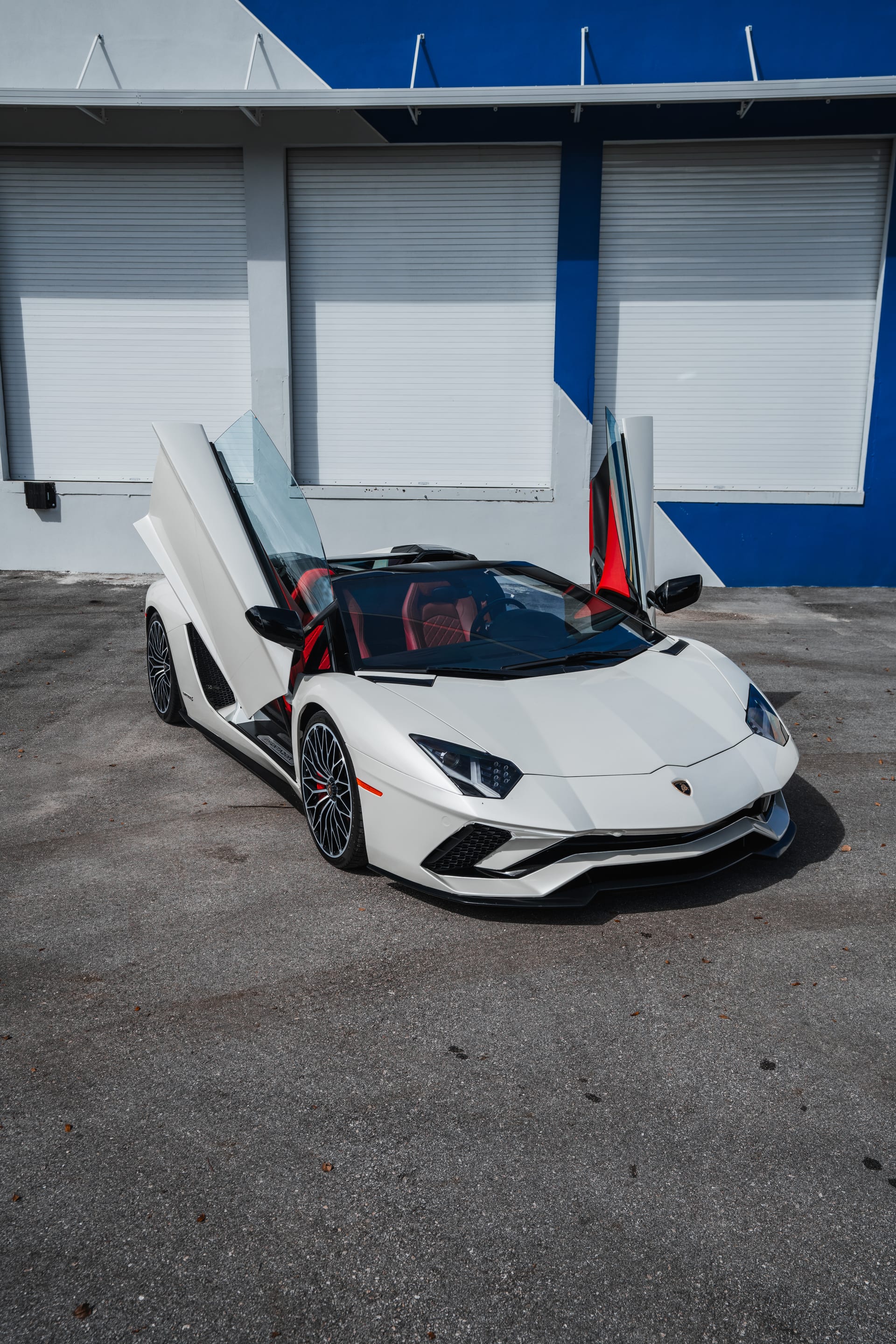 Lamborghini Aventador (White) - Flashy Exotics